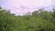 Metairie, Louisiana 08.06.2025 14:09