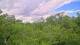 Metairie, Louisiana 11.05.2025 14:09