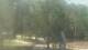 Fairview, Tennessee 12.07.2025 14:10