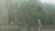 Fairview, Tennessee 14.06.2025 14:10