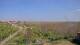 Juist 10.05.2025 14:57