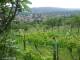 Feuerbach 08.06.2025 14:58