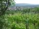 Feuerbach 14.06.2025 14:58