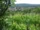 Feuerbach 14.06.2025 14:58