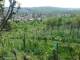 Feuerbach 29.04.2025 14:58