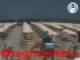 Cesenatico 14.07.2025 14:47