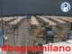 Césenatico 15.06.2025 14:47