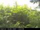 Presseggersee 09.06.2025 14:47