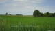't Zandt 15.06.2025 14:58