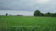 't Zandt 09.06.2025 14:58