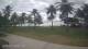 Malolo Lailai 11.07.2025 14:58