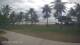 Malolo Lailai 13.07.2025 14:08