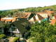 Sasbachwald 10.05.2025 14:47
