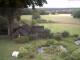 Schneverdingen 08.06.2025 14:47
