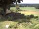 Schneverdingen 14.06.2025 14:47