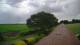 Schwinge 08.06.2025 14:59