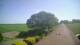 Schwinge 14.06.2025 14:58