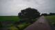 Schwinge 15.06.2025 14:58