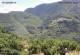 Monte Finonchio 09.07.2025 14:47