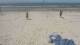 Bredene 02.07.2025 14:47