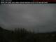 Prince Rupert 10.07.2025 14:59