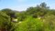 Port-Vendres 29.04.2025 14:01