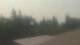 Medina, Washington 04.08.2026 14:16
