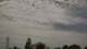 Hewlett, New York 30.04.2025 14:17