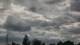 Hewlett, New York 12.05.2025 14:17