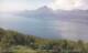 Castelletto di Brenzone 03.07.2025 14:03