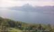 Castelletto di Brenzone 14.06.2025 14:03