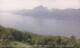 Castelletto di Brenzone 14.06.2025 14:03