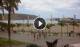 Los Christianos (Tenerife) 29.04.2025 14:04