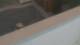 Colorado Springs, Colorado 21.04.2025 14:19