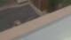 Colorado Springs, Colorado 29.04.2025 14:19