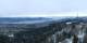 Uetliberg 02.01.2025 14:52