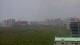 Naples, Florida 14.06.2025 14:21
