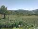 Cantalupo Ligure 08.07.2025 14:04