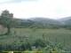 Cantalupo Ligure 06.07.2025 14:04