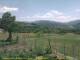 Cantalupo Ligure 14.06.2025 14:04