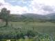 Cantalupo Ligure 07.07.2025 14:04