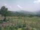Cantalupo Ligure 15.06.2025 14:04
