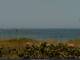 Cape Canaveral, Florida 08.07.2025 14:47