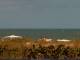 Cape Canaveral, Florida 30.04.2025 14:47