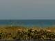 Cape Canaveral, Florida 09.07.2025 14:47