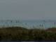 Cape Canaveral, Florida 10.07.2025 14:47