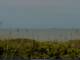 Cape Canaveral, Florida 16.05.2025 14:47