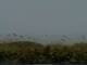 Cape Canaveral, Florida 03.07.2025 14:47
