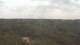 Moliets-et-Maa 30.04.2025 14:06