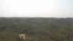 Moliets-et-Maa 08.06.2025 14:06